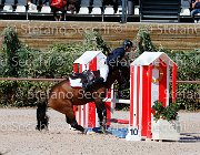 Apolloni Baby Arko GioCav2013 S5 1909 : Apolloni Gianluca, Baby Arko, Campionati Italiani Giovani Cavalli, Cattolica, ph Stefano Secchi ©